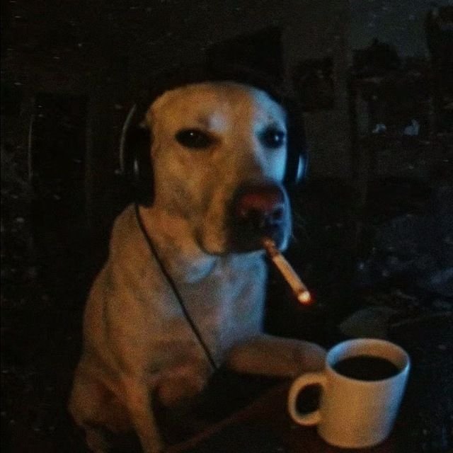 qissocookie's tweet photo. hoje eu castiguei meu pulmão mais do que o normal https://t.co/1T9rYelnXQ