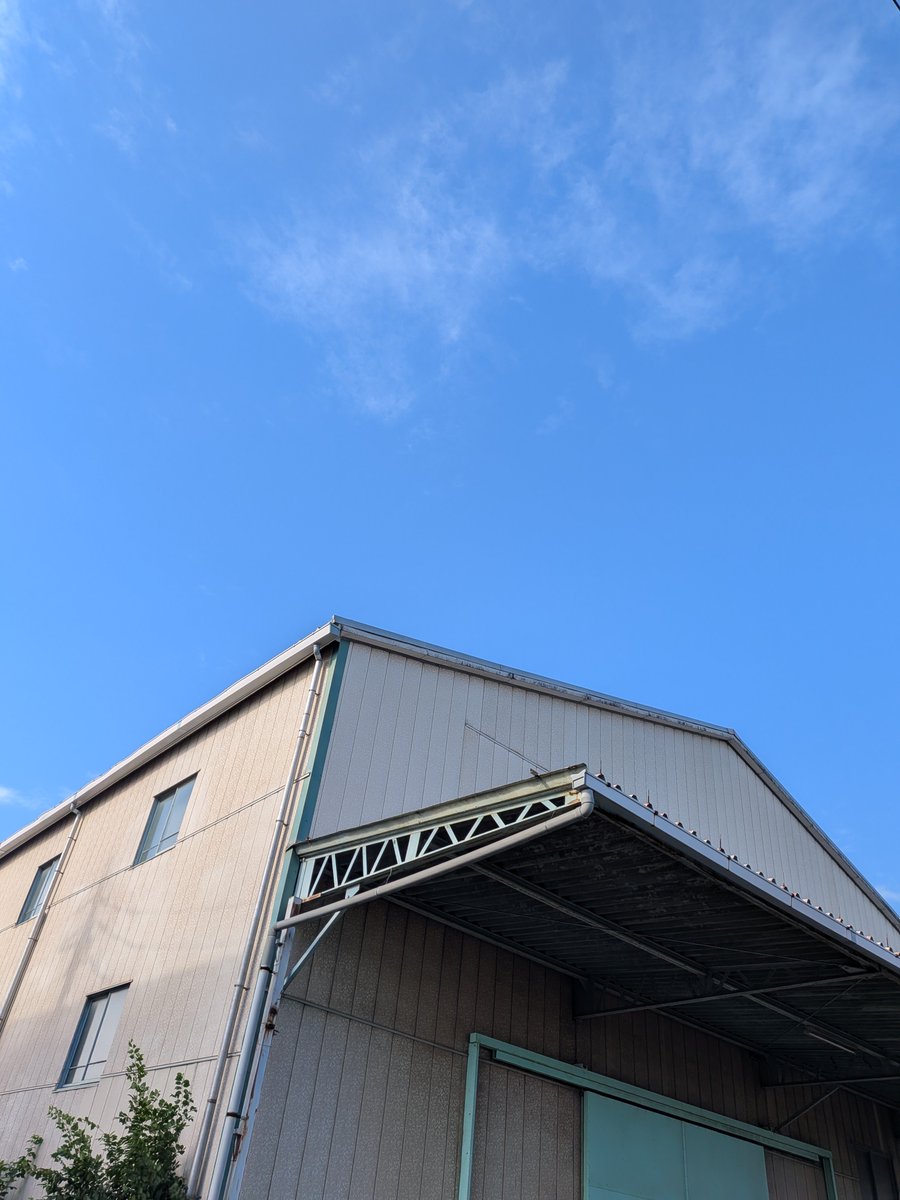 i8ju52's tweet photo. 澄みきった青空、心地よい秋晴れ

、、生まれました🐻🐾 https://t.co/g1mLZFC1CF
