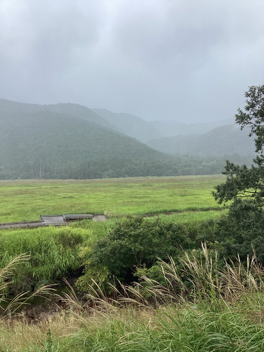 chojabaru_vc's tweet photo. 9月18日(金)

気温　20℃
天気　雨

明日からシルバーウィークですね。今日は雨模様ですが、週明けからの天気予報は良さそうです😊それでも最近は変わりやすいお天気ですので、登山の際は雨の準備もお忘れなく、です。 https://t.co/NTcbBHEaaA