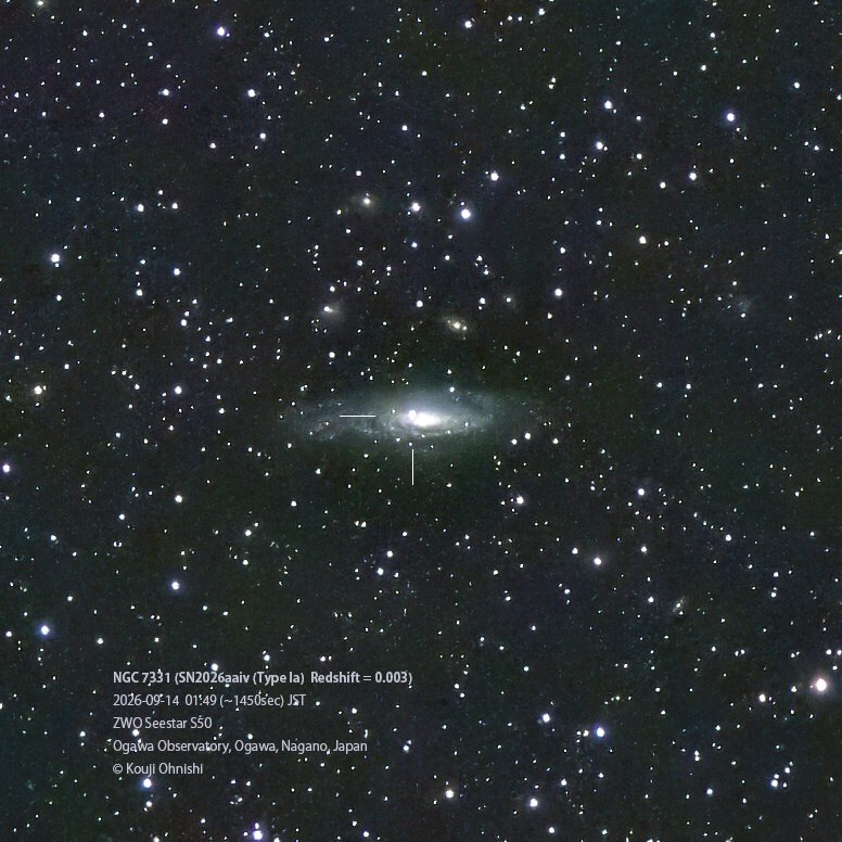 koujiohnishi's tweet photo. 先日も紹介しましたが、#Ia型超新星、#NGC7331 の超新星 #SN2026aaiv です。爆発から最大光度までおよそ 17~19日程度なので、まさに今ピークです。#白色矮星 の熱核暴走によって大量の元素が合成され、放射性同位体 56Ni→56Co→56Feの放射性崩壊のエネルギーで超新星が明るく輝いています。 https://t.co/m07TCTrl6Y