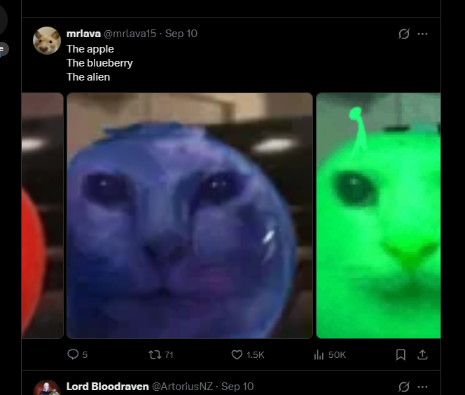 cryptoWander4r's tweet photo. New "cat pfp cult" taking over the internet, this is so good!!!

It started when a discord turned a cat meme into an orange and now they are making cat pfp's for every kind of fruit!!!

The trend is called "fruitcats"

2M+ VIEWS, this is the perfect time to run a meme pfp coin, we havent had something this genny in ages!!!

Original tweet: https://t.co/xiKnrTNWtA

Check the comments👇

https://t.co/s62mVsavLR