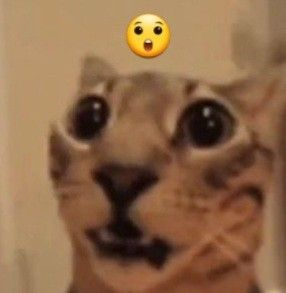 _mappng's tweet photo. @zumbipacas1 Eu achei que tinham soltado o poketnaro pai ... https://t.co/nIBy1MnzDu