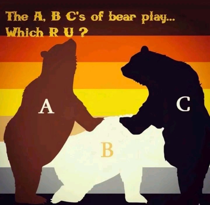 boybobbyxxx's tweet photo. A B &amp; C GRrRrrr 🐻

#gay #lgbt #lgbtq #lgbtqia #queer #bears https://t.co/NBbsCl4vmY