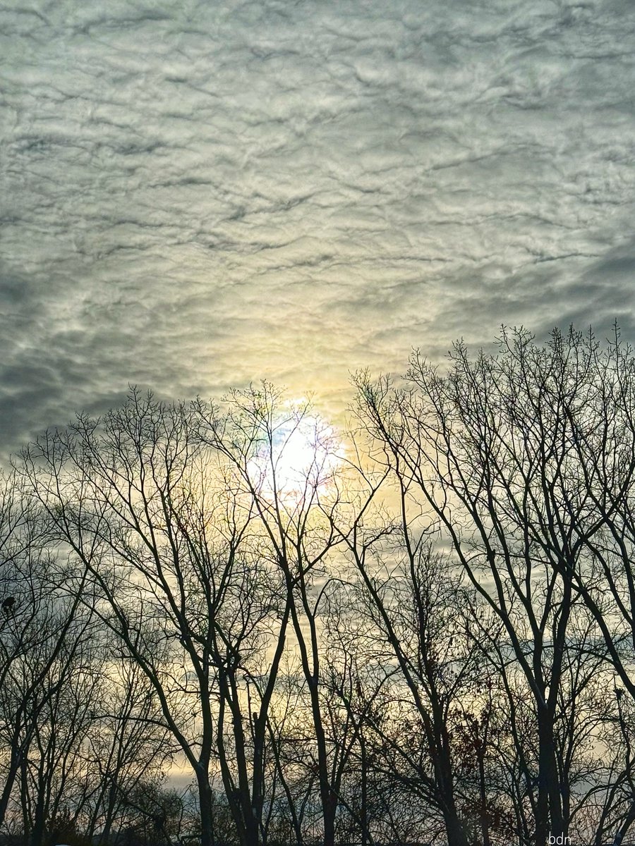 StephanieMo281's tweet photo. Morning. https://t.co/ZIioIBa5ef