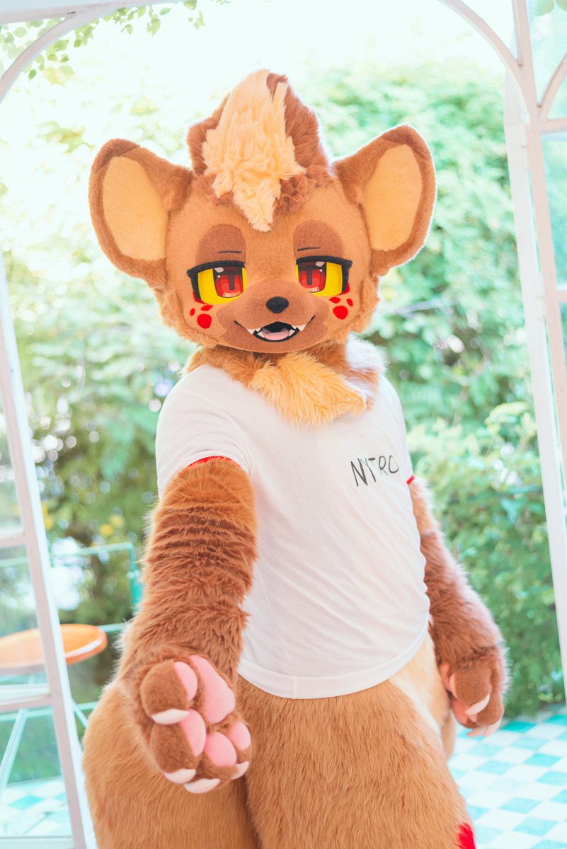 Yeen_Nytro's tweet photo. #FursuitFriday #Fursuit

 놀러나갈껀데 같이 놀러나가요✨

📸 : @DonDon_Fur https://t.co/7h4I8eWFfI