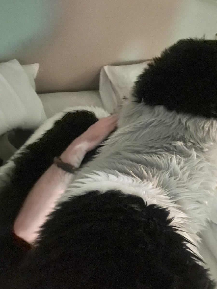 XaviourStink's tweet photo. blah blah blah sits on you https://t.co/skh5L5dNdV