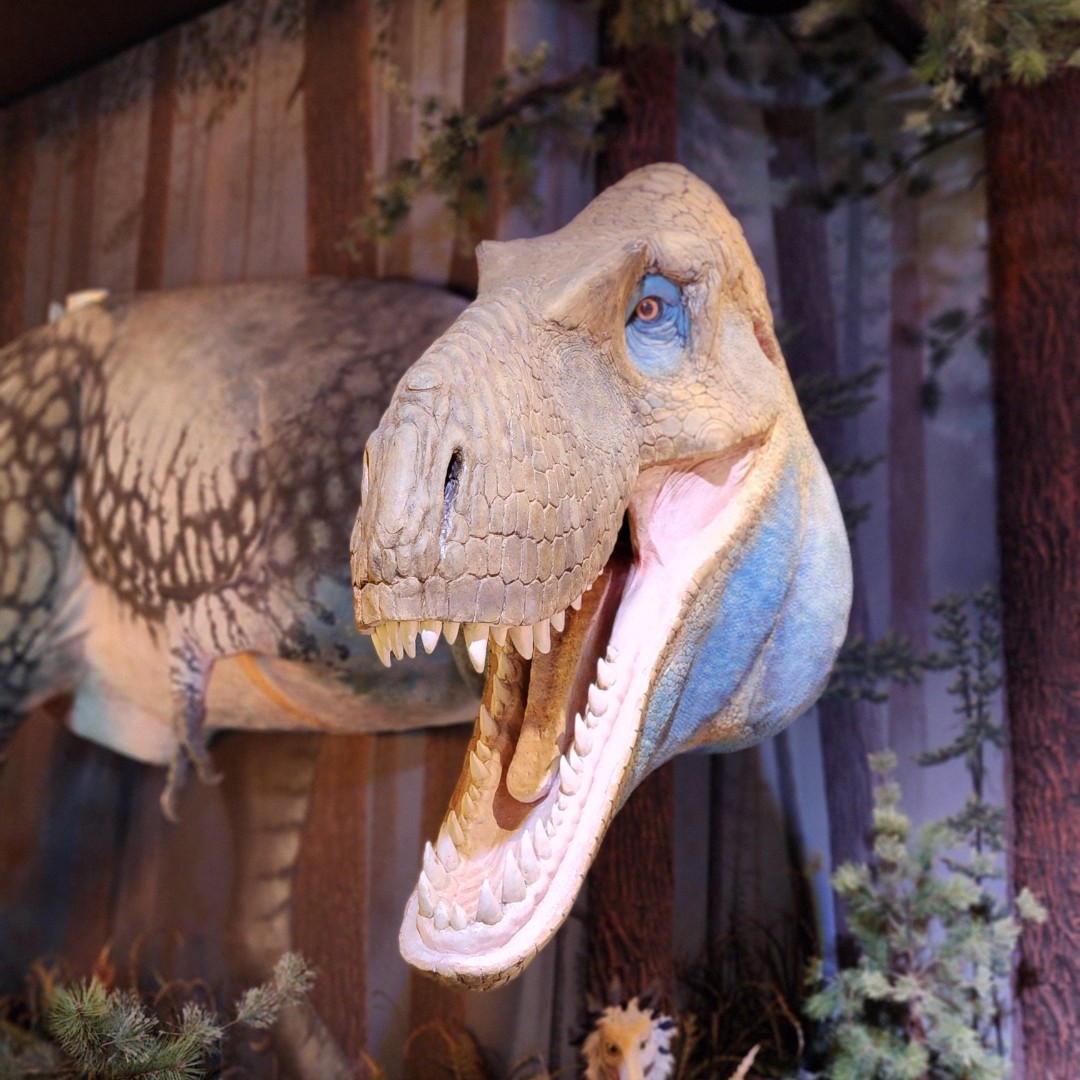 AZMNH's tweet photo. Save the date for our next collaboration with @asterarizona, where we'll discuss, "What is a Dinosaur?" The answer may surprise you! This event will be held at the Mesa Downtown Senior Center on Tuesday, September 22, from 10:00 to 11:00 am. RSVP to CBS@asteraz.org or call 480-962-5612. See you there!