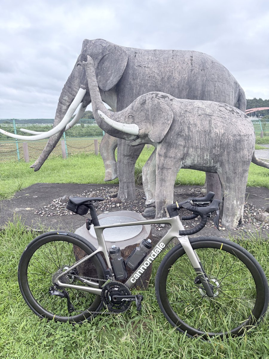 1977spike's tweet photo. 今日から連休スタート🚲
連休中はずっと雨で乗れないかも…と思ってたけど、今日は降らなさそうでひと安心 https://t.co/0OkBAXbyfk