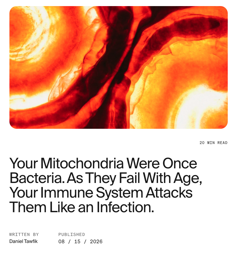 dantawfik's tweet photo. Your mitochondria can trigger the same inflammatory alarms your immune system uses to fight bacteria. That's because mitochondria are bacteria, or at least they were 1.5 billion years ago.

A Nature Reviews Immunology paper maps the molecular mechanisms of how mitochondria control inflammation, the safeguards that normally prevent false alarms, and what happens when those systems fail.

The core problem: mitochondria are ancient bacteria that your cells absorbed roughly 1.5 billion years ago. They still carry bacterial signatures. Your immune system evolved to recognize bacterial molecules as threats. When mitochondria get damaged and leak their contents, your immune system can't distinguish between a broken mitochondrion and an actual infection.

Mitochondria contain multiple damage-associated molecular patterns, or DAMPs. These are molecules that trigger immune responses when detected outside their normal location:

• Mitochondrial DNA (mtDNA): Unmethylated, circular DNA that resembles bacterial genomes
• Cardiolipin: A phospholipid normally confined to the inner mitochondrial membrane
• N-formyl peptides: Proteins with bacterial-style chemical signatures
• ATP and other metabolites: Energy molecules that signal danger when released

These molecules activate pattern recognition receptors, the sensors your immune system uses to detect threats.

The most studied pathway involves mitochondrial DNA activating a detection system called cGAS-STING. Here's how it works:

When mitochondria become damaged, their outer membrane develops holes. Think of it like a breach in a container. The mitochondrial DNA, which normally stays sealed inside, leaks out into the cytosol, the liquid interior of your cell.

An enzyme called cGAS patrols the cytosol looking for DNA that shouldn't be there. When it finds mitochondrial DNA floating around, it produces a signaling molecule called cGAMP. This molecule activates another protein called STING, which sits on the endoplasmic reticulum, a membrane network inside cells.

STING activation triggers the production of interferons, immune signaling proteins your body normally makes to fight viral infections. Your cell responds to leaked mitochondrial DNA the same way it responds to a virus.

A second pathway involves cardiolipin, a fat molecule that normally stays on the inner membrane of mitochondria. When cardiolipin appears on the outer surface or leaks into the cytosol, it activates the NLRP3 inflammasome. This is a multi-protein assembly that acts like an alarm system. Once activated, it produces inflammatory molecules called cytokines, specifically IL-1β, which trigger inflammation throughout surrounding tissue.

Your cells have multiple safeguards to prevent mitochondria from triggering these inflammatory pathways:

Apoptosis suppresses inflammation. Apoptosis is programmed cell death, a controlled self-destruction process. When a cell commits to dying, it activates enzymes called caspases. These enzymes act like molecular scissors, rapidly cutting up mitochondrial DNA and other inflammatory molecules before they can activate immune sensors. Two key studies demonstrated that strong caspase activation prevents the cGAS-STING pathway from turning on during cell death.

Mitophagy removes damaged mitochondria. Mitophagy is selective autophagy, meaning cellular recycling that targets only mitochondria. When mitochondria lose their electrical charge, called membrane potential, or accumulate too much damage, they get tagged with molecular markers. These tags signal cellular machinery to engulf the damaged mitochondrion inside a double-membrane structure called an autophagosome. The autophagosome fuses with a lysosome, which contains digestive enzymes that break down the damaged mitochondrion completely. This happens before its contents can leak out and trigger inflammation.

Chromatin packaging inhibits cGAS. Your nuclear DNA is wrapped around proteins called histones and packaged into a structure called chromatin. This packaging prevents cGAS from detecting it. Mitochondrial DNA lacks this protective packaging, which makes it a much stronger activator of cGAS when it reaches the cytosol. This difference explains why leaked mitochondrial DNA triggers inflammation while nuclear DNA, even when exposed during normal cell division, generally does not.

The pathological consequences emerge when these safeguards fail or get overwhelmed.

Insufficient mitophagy allows damaged mitochondria to accumulate. Their contents gradually leak into the cytosol, triggering chronic low-grade inflammation. This process contributes to age-related inflammatory diseases, neurodegenerative disorders, and metabolic dysfunction.

Defective apoptosis prevents proper DAMP degradation. Cells that can't complete programmed death release intact mitochondrial components that activate stronger inflammatory responses. This mechanism appears in some autoimmune conditions where defective clearance of dying cells drives chronic inflammation.

Excessive mitochondrial stress overwhelms quality control. When mitochondrial damage happens faster than mitophagy can remove it, cells release mitochondrial DAMPs even with functioning safeguards. This occurs during ischemia-reperfusion injury, severe metabolic stress, and certain infections that specifically target mitochondria.

The inflammation can become bidirectional. Inflammatory signals like TNF-α and interferons feed back to impair mitochondrial function, creating cycles where inflammation damages mitochondria and damaged mitochondria amplify inflammation.

Several human diseases show clear links to dysregulated mitochondria-driven inflammation:

Parkinson's disease involves mitochondrial dysfunction in dopaminergic neurons. Defective mitophagy allows damaged mitochondria to trigger inflammatory responses that accelerate neurodegeneration.

Systemic lupus erythematosus shows elevated mtDNA in circulation and enhanced cGAS-STING activation. Defective clearance of dying cells releases mitochondrial contents that drive autoantibody production.

COVID-19 severity correlates with cGAS-STING pathway activation. Viral infection triggers mitochondrial DNA release, and excessive type I interferon responses contribute to immunopathology.

Cancer cells sometimes exploit insufficient mitochondria-driven inflammation. Tumors with defective inflammatory signaling evade immune surveillance, while therapeutic interventions that trigger controlled mitochondrial DAMP release can enhance anti-tumor immunity.

The therapeutic implications point in two directions.

For inflammatory diseases, blocking mitochondrial DAMP signaling could reduce pathological inflammation. cGAS-STING inhibitors are in development for autoimmune conditions. Enhancing mitophagy might prevent DAMP accumulation before inflammation starts.

For cancer and infections, activating mitochondrial DAMP release could boost immunity. Some chemotherapy drugs work partly by triggering immunogenic cell death that releases mitochondrial DAMPs. Radiation therapy activates similar pathways.

The central insight is that mitochondrial quality control and inflammation are mechanistically linked. The same cellular machinery that maintains energy metabolism also determines inflammatory state. When mitochondria function properly and damaged ones get cleared efficiently, inflammation remains appropriately regulated. When quality control fails, mitochondrial DAMPs drive pathological inflammatory responses.

Your immune system treats broken mitochondria like invading bacteria because, evolutionarily, that's exactly what they once were. The molecular signatures persist. What determines health versus disease is how effectively your cells maintain mitochondrial integrity and clear damaged mitochondria before they trigger inappropriate immune activation.