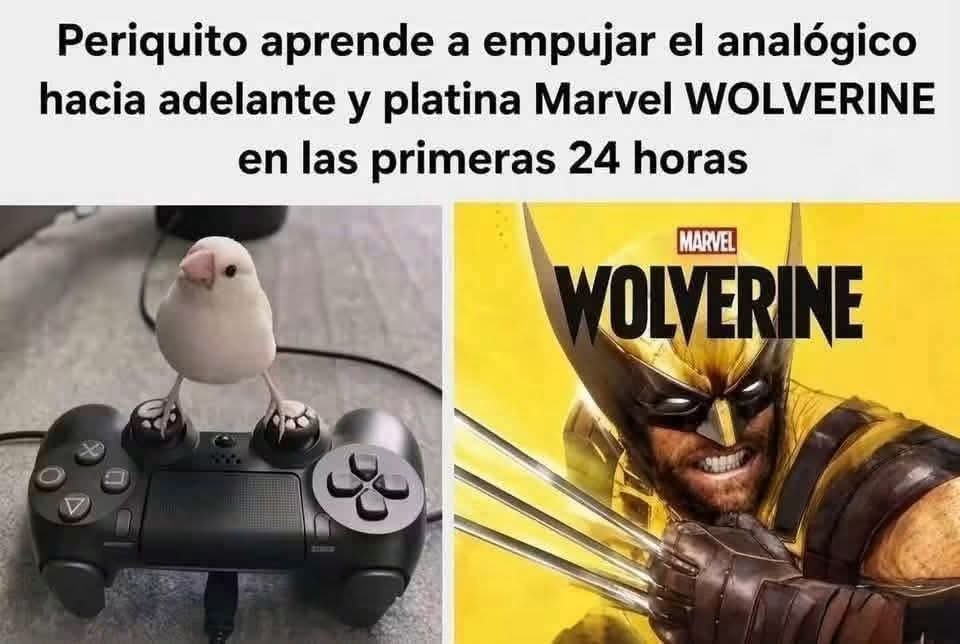 ZarenBelmont's tweet photo. Y eso que se lo pusieron en la mayor dificultad https://t.co/EmnEO2LGaF