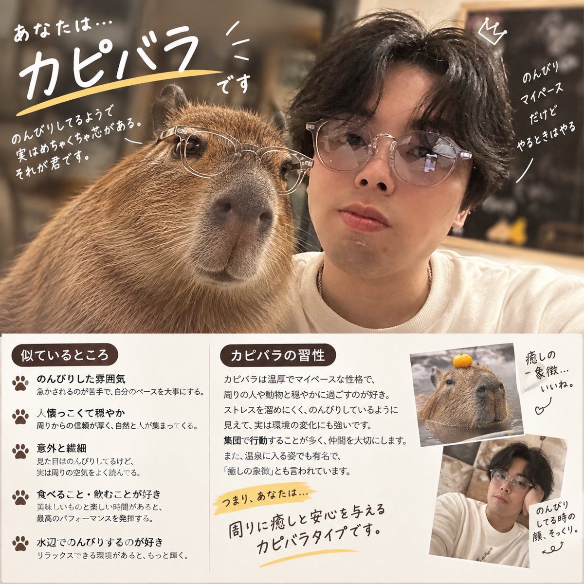 101130Yuuki's tweet photo. 次のTSL画像決まった…🤣

リーダーカピバラにメガネ🥸ww https://t.co/4TIIs494DC