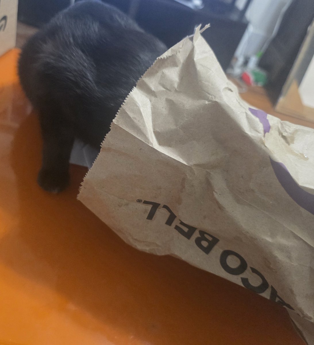 dracuula98's tweet photo. Little fucking fiend trying to steal literally all of my taco bell https://t.co/ZQzpbtW5Ff