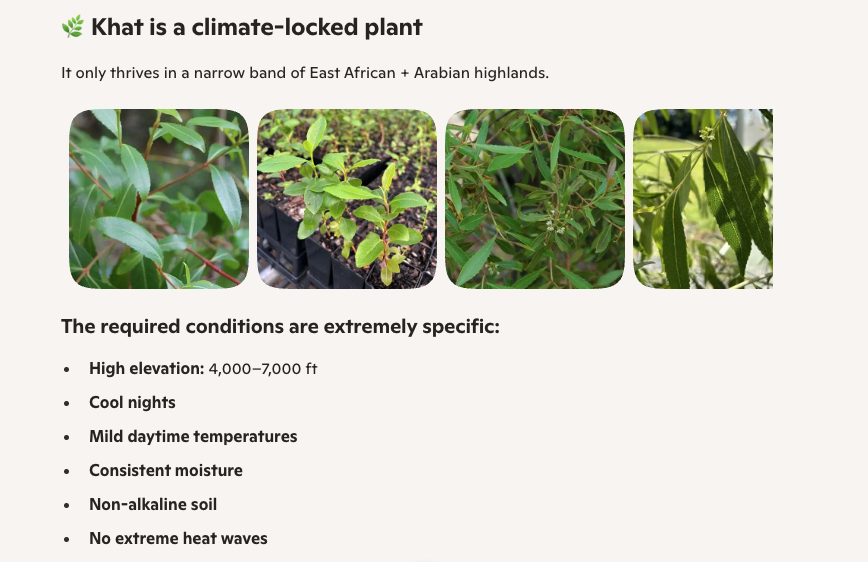 TruthStack's tweet photo. @TigreCabreado @SprinterPress Wow thanks! Looks like it's a plant that only grows there &amp; loses it's power and can't be turned into a supplement. https://t.co/OxdMQ3qSEC