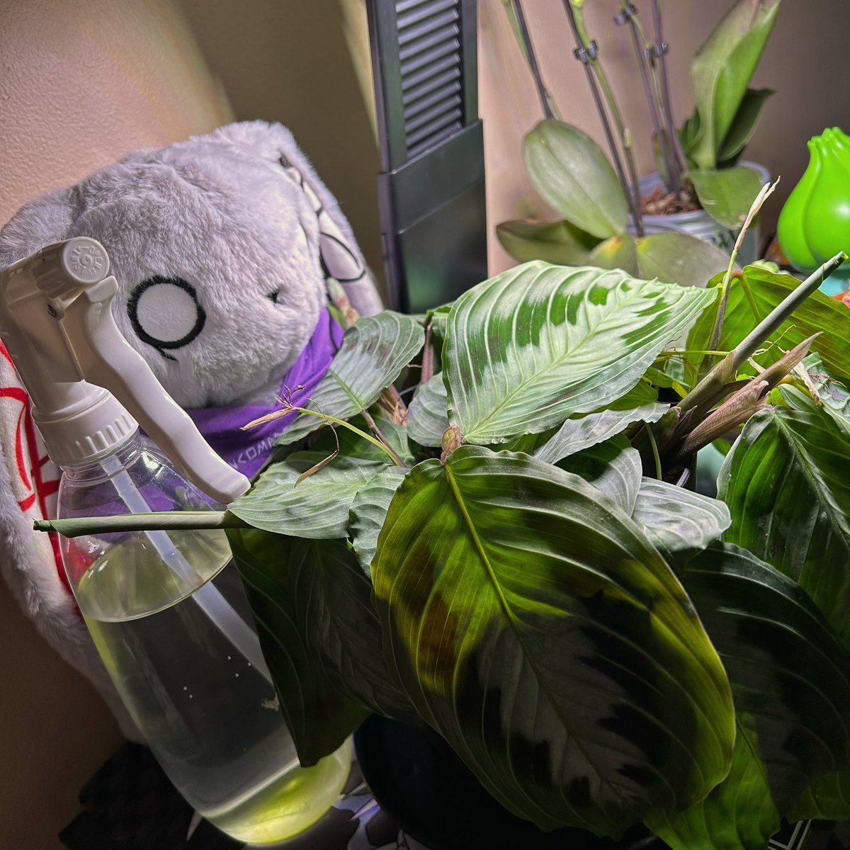 TriceraSun's tweet photo. Huey tending to the plants🪴
#plushiedreadfuls https://t.co/eTYyuufK9q