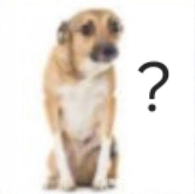 LauiMormont's tweet photo. Le tenía que configurar el celular nuevo a mi mamá y le pregunté si se acordaba de la contraseña de su mail. Me miró así https://t.co/JkmFCULeuW