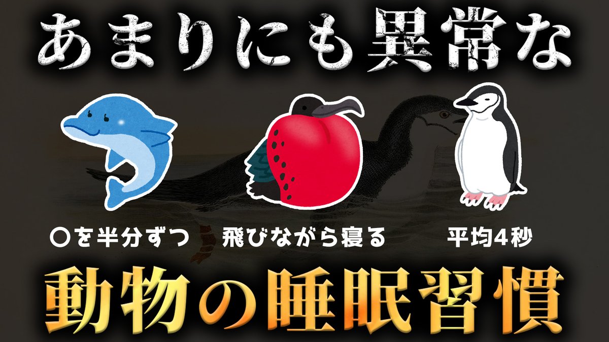 GokubutoD's tweet photo. 生物学の常識が破壊された動物たちの異常すぎる睡眠習慣がヤバすぎた...。【 科学 脳科学 】

https://t.co/fGTa3oQn6R https://t.co/rkDWlb7XBC