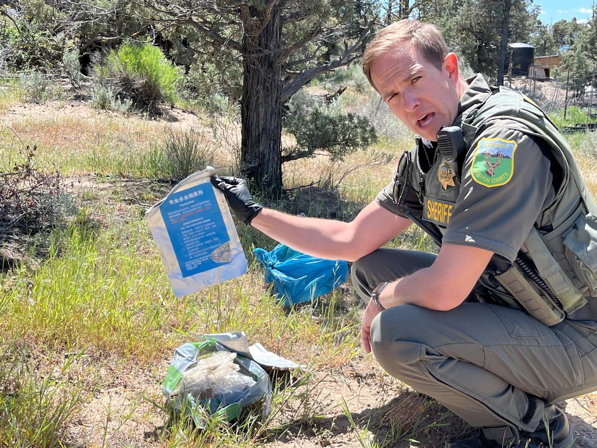 AinsworthKeith's tweet photo. CHINESE CONTROLLING CALIFORNIA POT INDUSTRY.

They’re growing it on American soil.

They’re spraying it with banned Chinese poison.

Some of those chemicals are fatal if inhaled.

Siskiyou County — under Mount Shasta — is ground zero. Chinese criminal networks turned a California paradise into an industrial black-market factory.

Sheriffs keep pulling the same bags off the dirt: Chinese-labeled fumigants that never should have entered the country. The county declared an emergency. First responders have been burned and hospitalized. The crop doesn’t stay in the hills. It moves.

This is not a culture war. This is sovereignty.
American land.
American water.
American lungs.

If “America First” means anything, it means we don’t let foreign criminal orgs occupy U.S. dirt, poison the product, and walk while rural sheriffs fight it with a fraction of the resources they need.

Enforce it. Test it. Smash the networks. Protect the people who live next to it.