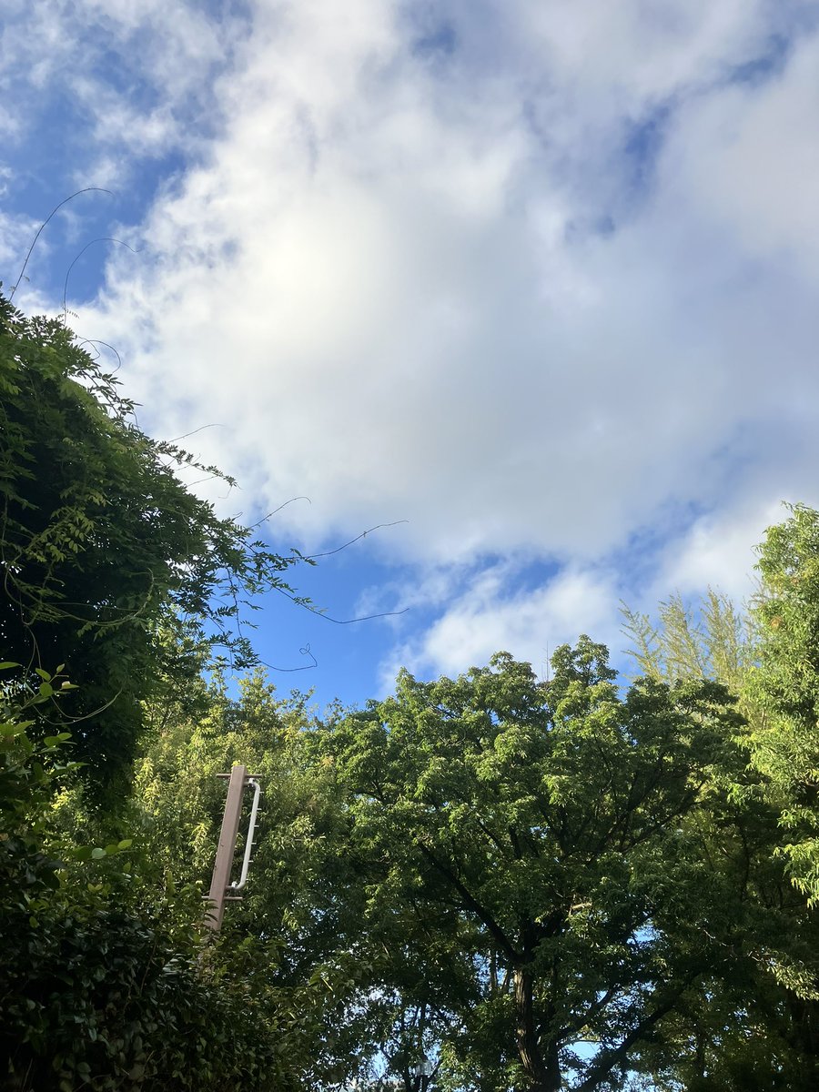 kai0010's tweet photo. 健やかな朝。

今日は歩く日、頑張るぞ。 https://t.co/XejFJT9B3x