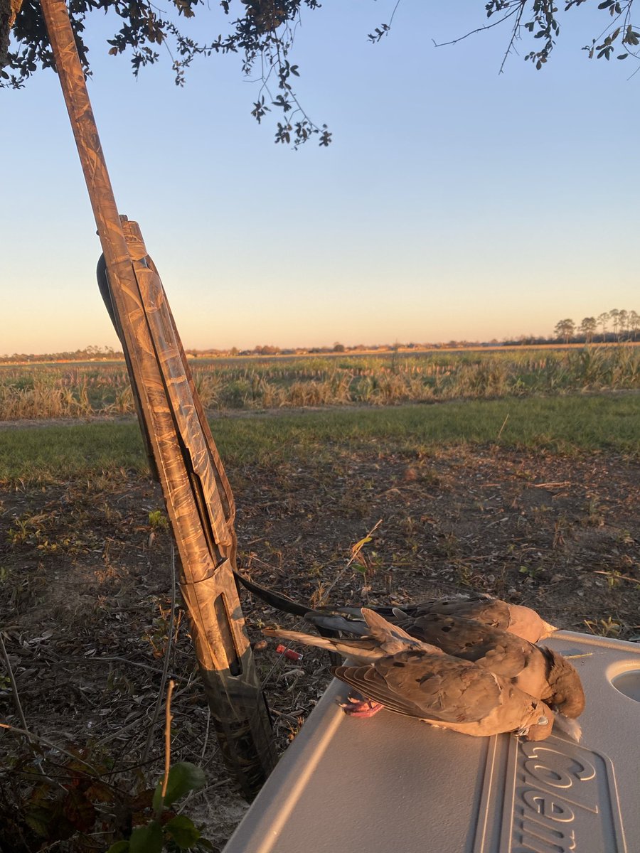 jnichols_1997's tweet photo. Last year was one of the best seasons since moving since moving to Alabama! What will this season be like?? 🤔 #BeyondTimberandWater #GoHUNT https://t.co/sn5Ahe0uPS