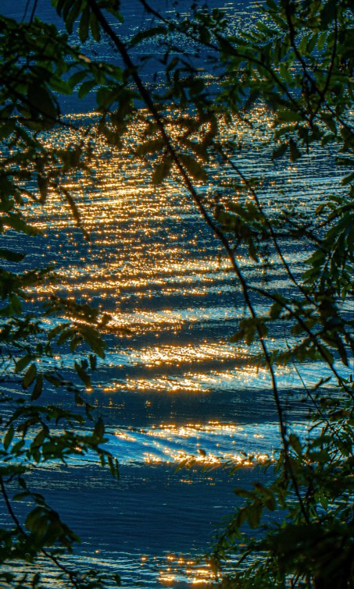 naturevisuaIs's tweet photo. when the sun makes the water glitter https://t.co/NAndK6pD6b