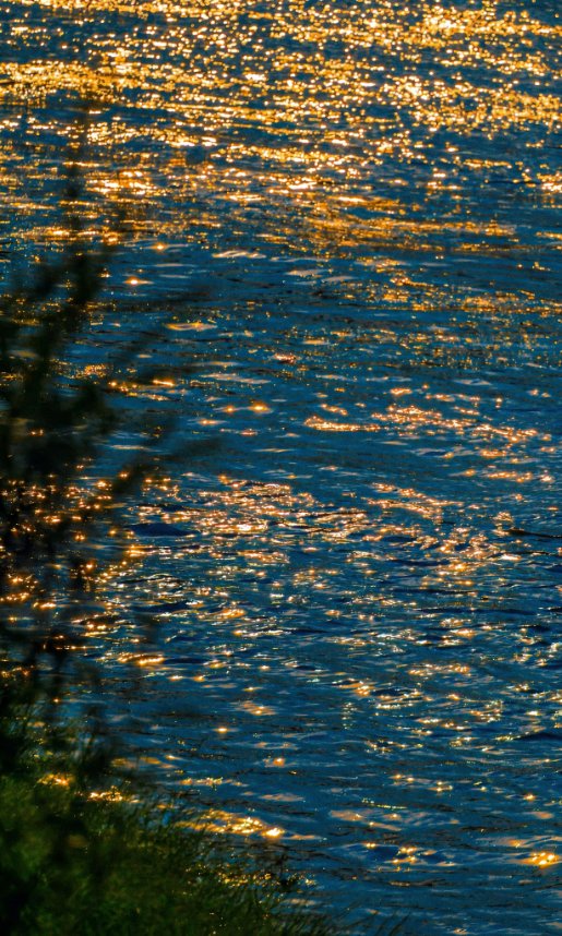 naturevisuaIs's tweet photo. when the sun makes the water glitter https://t.co/NAndK6pD6b