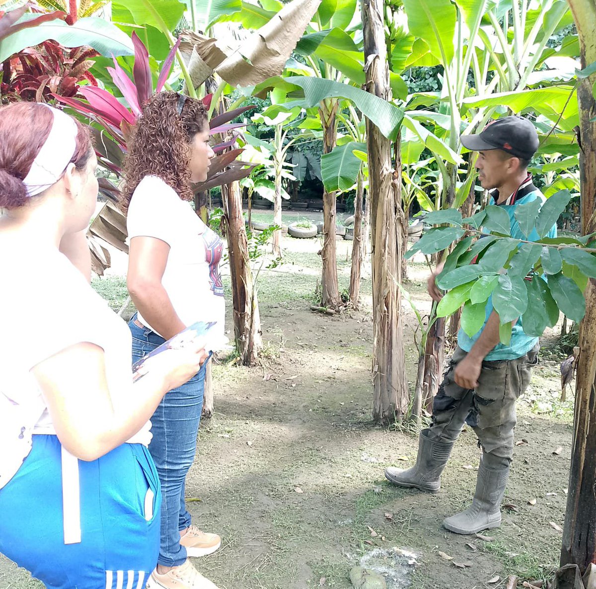 MROBINSONYARA's tweet photo. #17Sep Nuestros misioneros del mcpio San Felipe presente en el Despliegue Social en Movimiento, Venezuela Renace; en la comunidad Macagua, Comuna San Juan Bautista.
@NicolasMaduro 
@HectoRodriguez 
@delcyrodriguezv https://t.co/BFxGXjpWU2