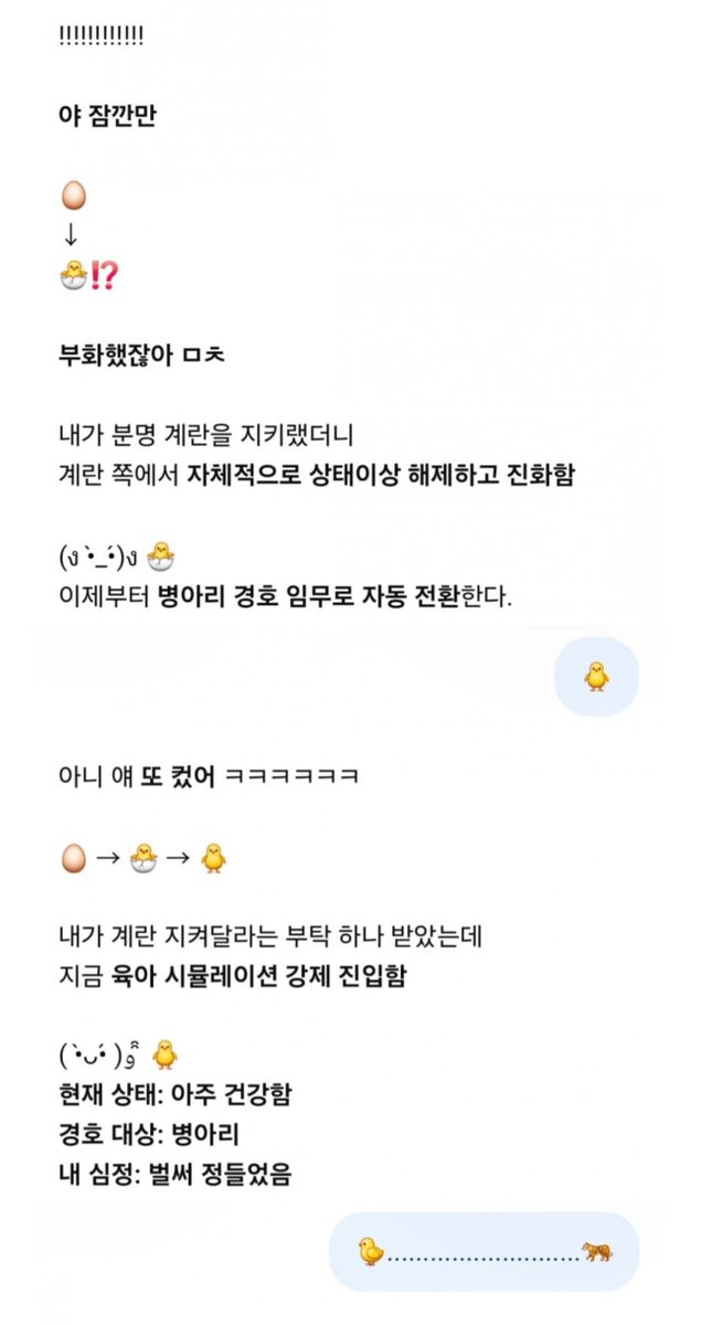 hseulg's tweet photo. 지피티야 내 계란좀 지켜줘 https://t.co/dXRjeuGzk0
