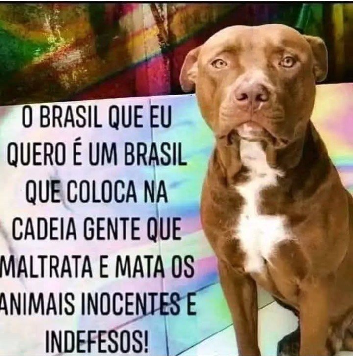 ClaudioFarias70's tweet photo. https://t.co/LQE5xS9oj8
