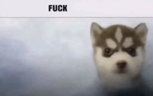 rickstrrr tweet picture