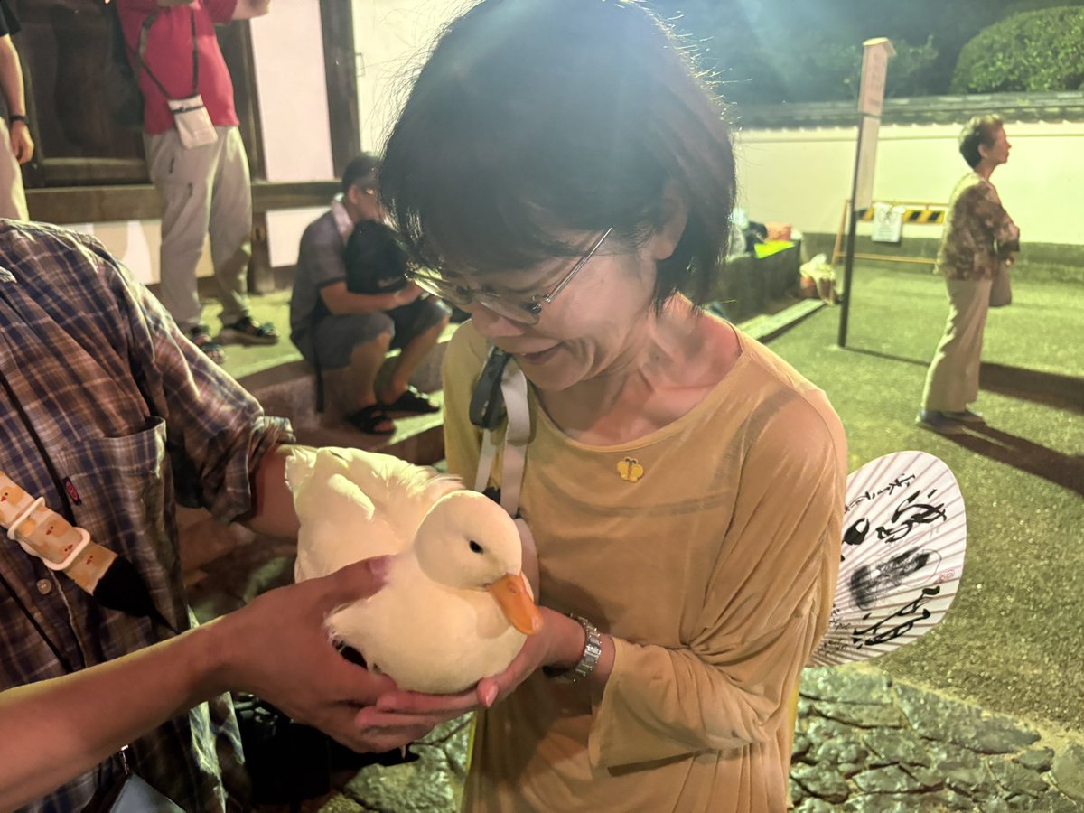 KyouYashima's tweet photo. 昨夜の二月堂の盆踊りで、コールダックのKちゃん@Call_duck_k 
の後輩、Uちゃんに会えました！

さわって🆗とのことでふわふわ〜な羽に感動✨ https://t.co/tMAh67w755