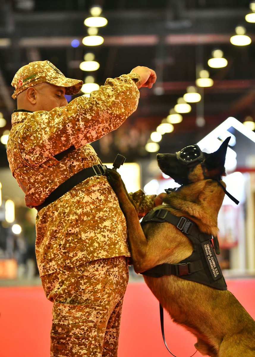 Pemex's tweet photo. Los binomios caninos de #Pemex están presentes en la Expocan 2026. 🐶
En este espacio, nuestros lomitos petroleros demuestran sus habilidades de búsqueda con su gran olfato, mostrando el entrenamiento, la disciplina y el gran compromiso con el que cuidan a nuestra familia petrolera y el patrimonio mexicano. 🇲🇽🐾