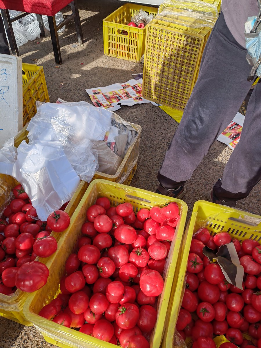 katha83's tweet photo. Stock up on fresh heirloom tomatoes, wild-caught salmon and organic quinoa this weekend at your local farmers’ market—perfect for light and tasty weeknight meals! https://t.co/vmUl0oQetH
