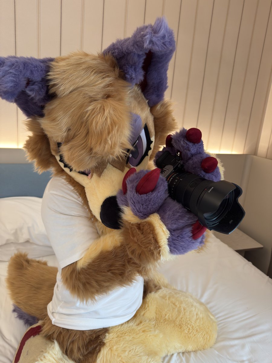 M7788976's tweet photo. #FursuitFriday https://t.co/Pq40a1w2JQ