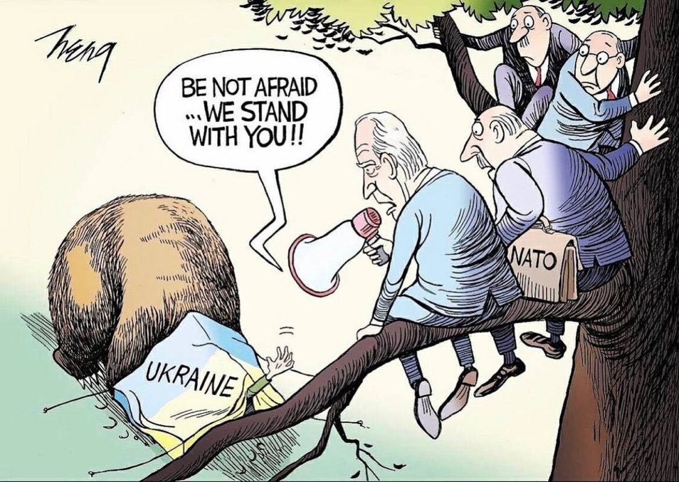 DavidPe43993301's tweet photo. @ShaominLi1 Ukraine is America's agent https://t.co/n18qLnMGCK