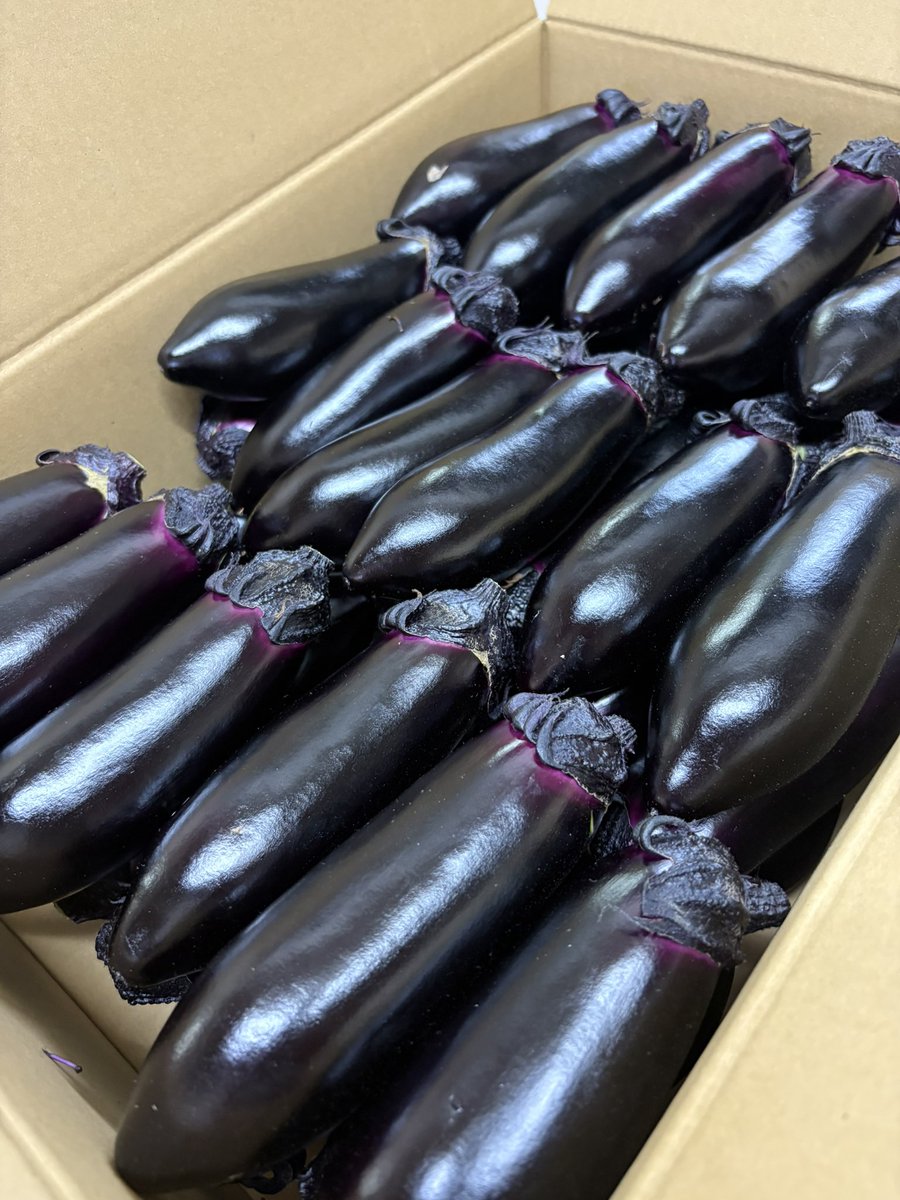 AsahiLegend1979's tweet photo. おはようございます

担々麺はほんとうに終了しました。
また冬に

で、また辛い系ですが本日より
地元農家グリーンサービスだいち様の秋ナスの酸辣湯麺提供します。
トロミあり、激熱です。
是非！
よろしくお願いします！ https://t.co/ZX7W2kowYu