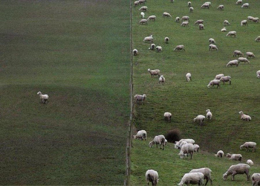kunoo's tweet photo. How it feels being the first trader in your bloodline: https://t.co/fCgzmUNbaA