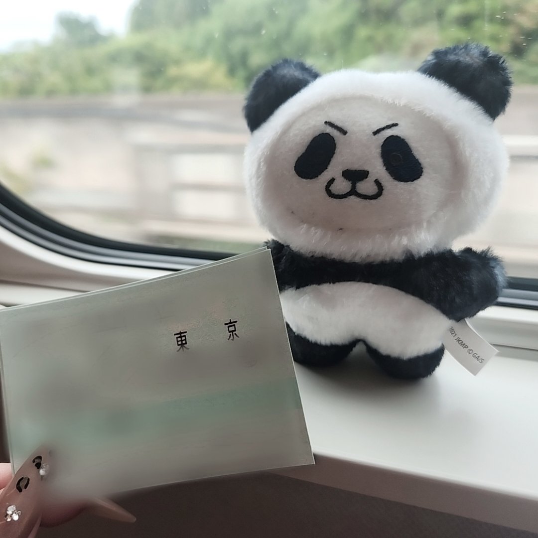 zzZ__SSR's tweet photo. お〰よしよし東京いこうね🥺 https://t.co/KxG8g2BaYY