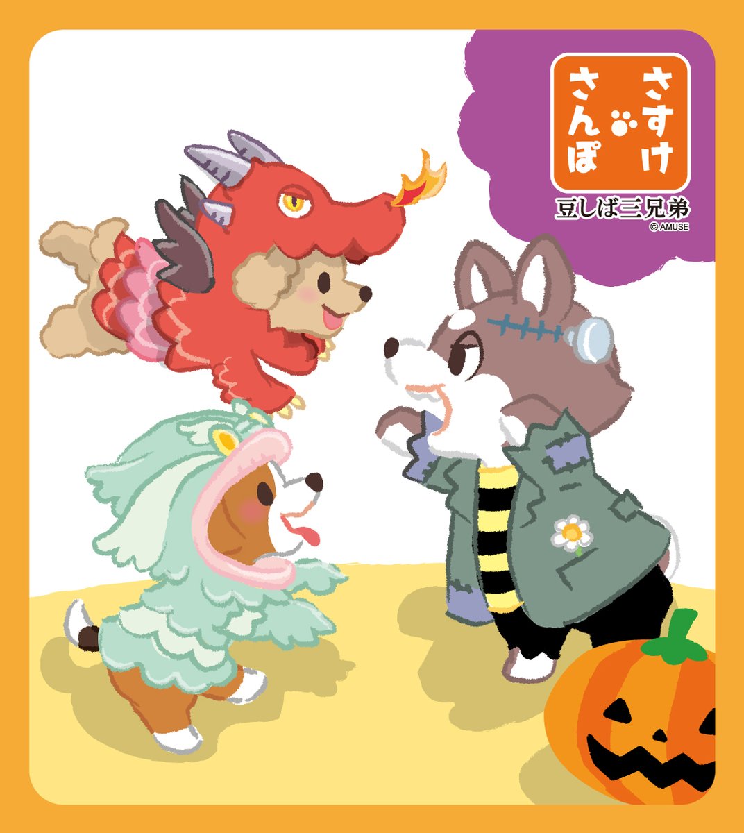 AMUSE_Sasuke's tweet photo. ちょっと気が早い？
ハロウィン仮装の準備中…🎃🧙‍♀️
みんなを驚かそうとしたさいぞうですが、
マロンと、ビスケに反撃されてますね🐶🐶

また他のみんなの仮装姿も
紹介していきますね✨
#ハロウィン #豆しば三兄弟 https://t.co/bde2wresVo
