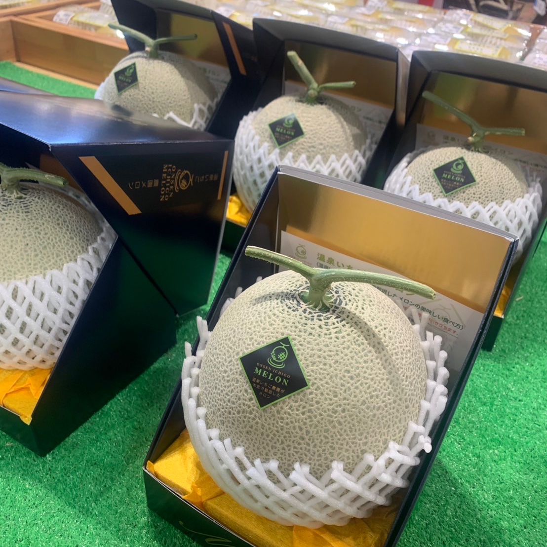 onsenichigo's tweet photo. ｢温泉いちご農園メロン｣ 出荷スタート♨️🍈
いつもお世話に合っている西いなば気楽里さんへ♬
@ni_kirari 
温泉いちご農園が本気で栽培したメロン♨️🍈の
美味しい食べ方リーフレット付！！
是非お楽しみください♬
 #温泉いちご農園メロン
#メロン #温泉いちご農園
#サステナブル
#メイワファーム https://t.co/Po3yVVjgyR