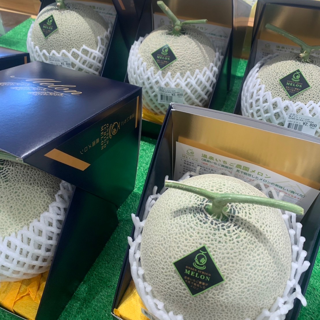 onsenichigo's tweet photo. ｢温泉いちご農園メロン｣ 出荷スタート♨️🍈
いつもお世話に合っている西いなば気楽里さんへ♬
@ni_kirari 
温泉いちご農園が本気で栽培したメロン♨️🍈の
美味しい食べ方リーフレット付！！
是非お楽しみください♬
 #温泉いちご農園メロン
#メロン #温泉いちご農園
#サステナブル
#メイワファーム https://t.co/Po3yVVjgyR