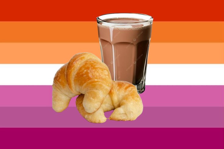 wickedagonyy's tweet photo. bandera lesbica para las lesbianas a las que les gusta las medialunas con chocolatada aaha me vine https://t.co/MEdg4aSiex