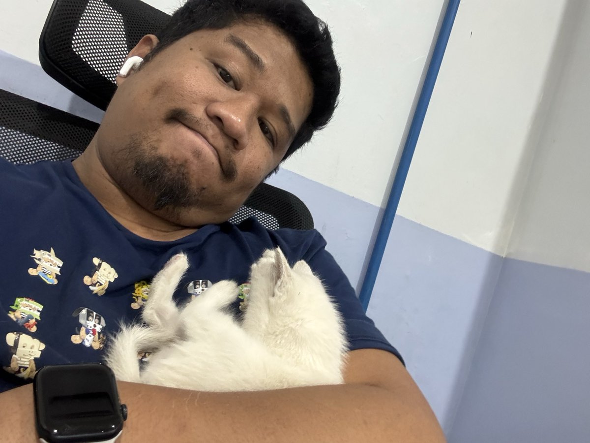 serjhogango's tweet photo. We’re taking care of a cat at the office now. No one knows how it happened, but apparently we have a new employee. 🐈😂 https://t.co/G7USNObMae