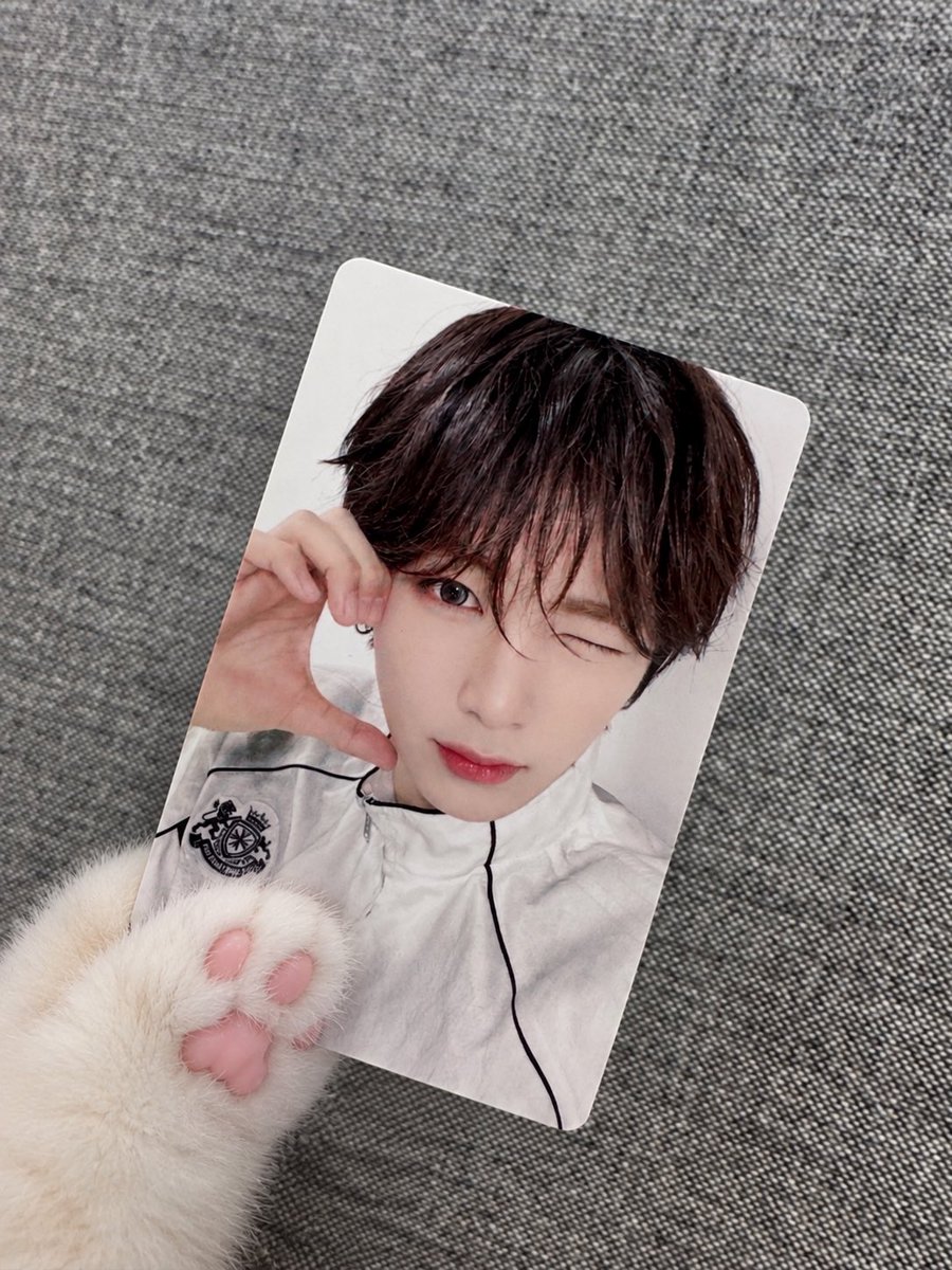 cookiejoaxinjoa's tweet photo. 나 최애포카 바꼇러지금… https://t.co/SSA1q3Xqtg