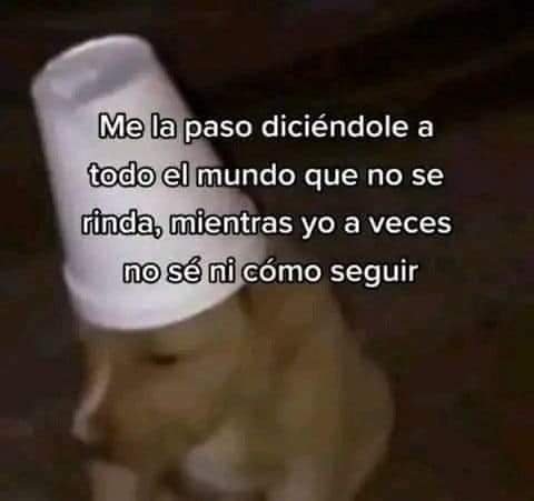 Mantequilla90's tweet photo. https://t.co/pckq2AGPhO