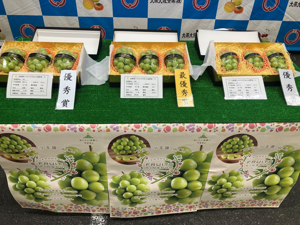 shijyoosaka's tweet photo. 本場です。本日、大果大阪青果㈱の卸売場で、『山梨シャインマスカット品評会』が行われました。
昨日、甲府市で行われた品評会にて出品されたシャインマスカットがセリにかけられました。
去��に比べ玉張りも良く、天候不順な中で生産者の努力により、高濃度の甘みを維持しているとのことです。 https://t.co/mg19ktzufo