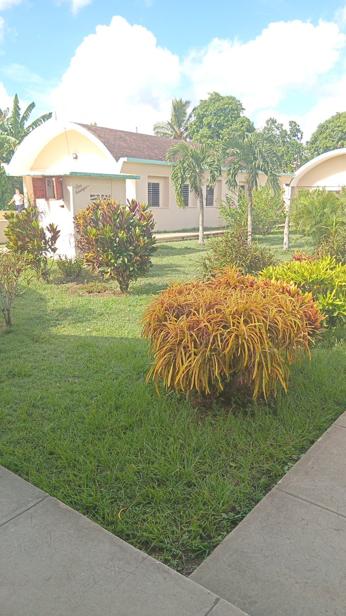 Inspeccdgeplac's tweet photo. Visita Especializada al inicio del curso escolar al Seminternado Alfredo Gonzales #hoyenplacetas  Consejo Popular FalconMiller. #TodosalasAulas #EducaciondeCalidad #dgeducacionplacetas #dgeducacionVillaClara. https://t.co/zck4ZavlDK