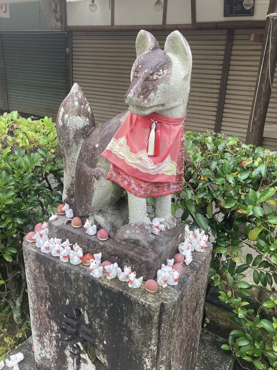 tukuyomi1207's tweet photo. 笠間稲荷⛩️その2
この日は茨城雨予報、参拝時も小雨。平日という事も相まって、参拝者もまばらでしたが、お稲荷さんの数はいっーぱい😆
前脚が無くなっちゃったお稲荷さんさんもいて、ちょっと可哀想😢
#笠間市
#笠間��荷
#狛狐 https://t.co/rDhq9kUqc1