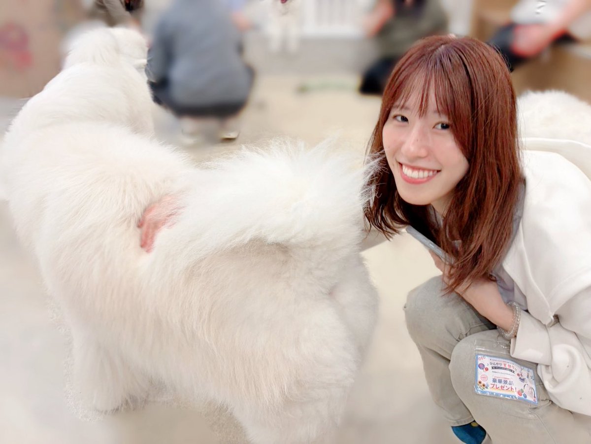 sera_miyuu1228's tweet photo. おはよ～🐶🤍
もふもふ癒された☺️！！

今日は五反田でライブです🎶
がんばるよ～✨️✨️

#瀬良美夢 #せらみゆう https://t.co/qWXc3GXQIn