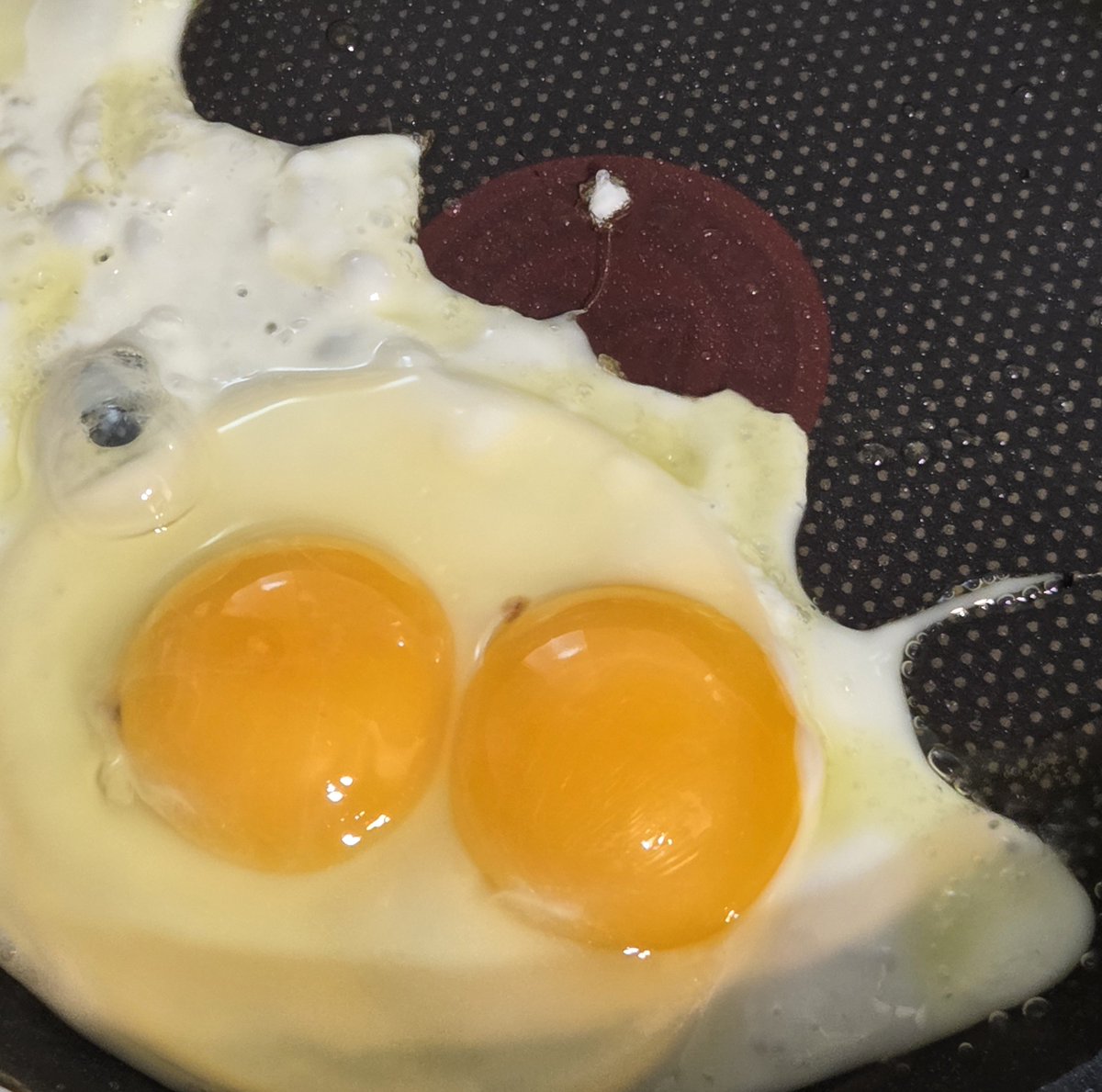 dudyoji's tweet photo. 계란 깟는데 쌍란 나왓음 쌍란의 행운아 
이 트윗을 본 사람들에게로 가라 https://t.co/NbyEHUsWcz