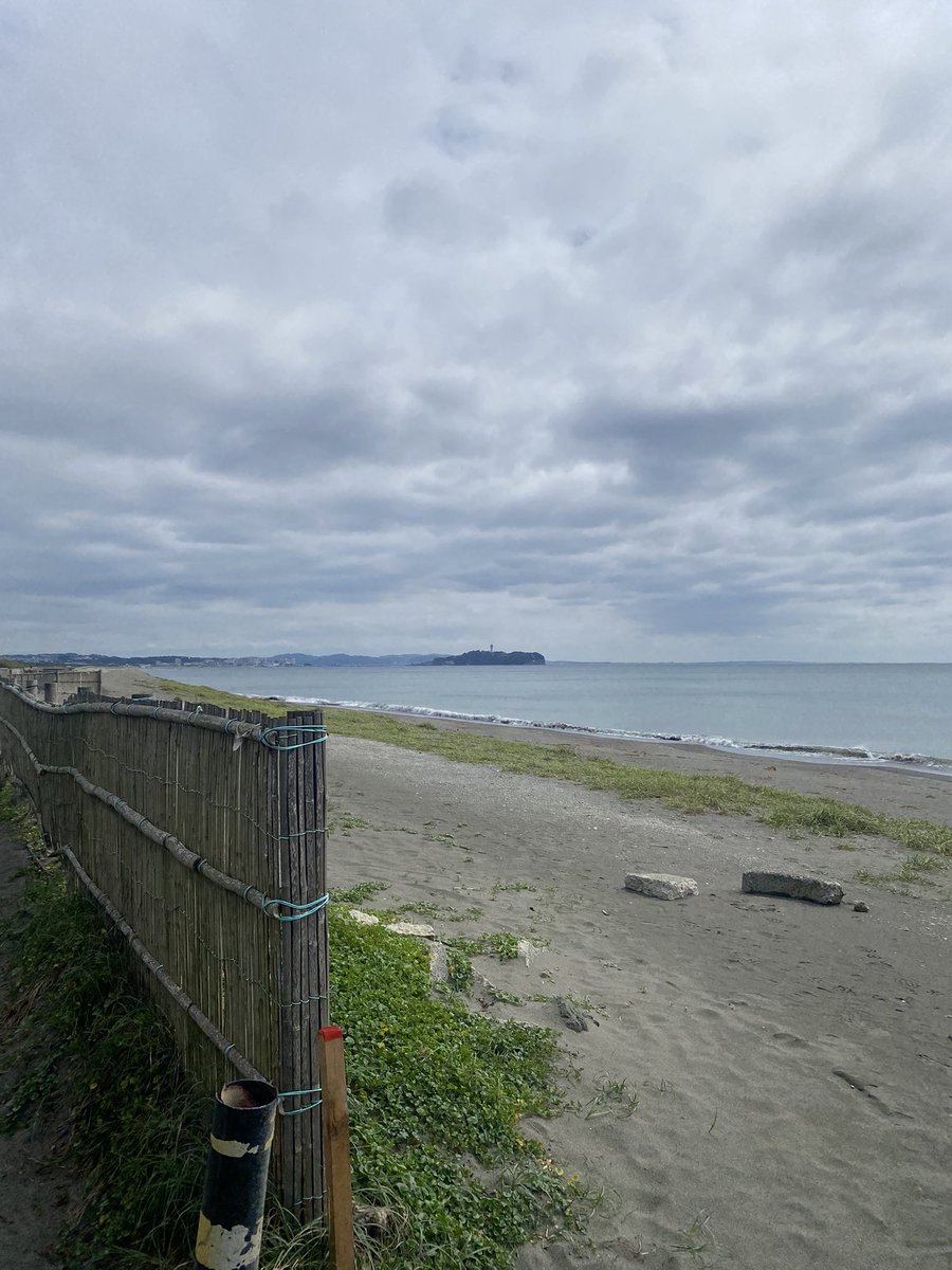 u_marumarumaru's tweet photo. 😸🌊 https://t.co/4Lhta5JXBl
